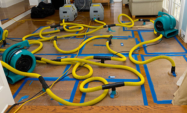 Professional Structural Drying And Dehumidification technician working in Brownsville, WI